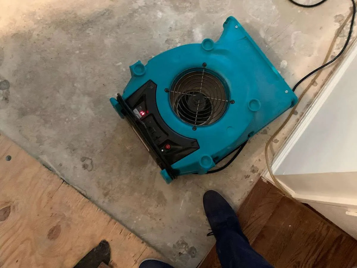 Air mover drying subfloor during Commercial Water Damage Restoration in Livonia